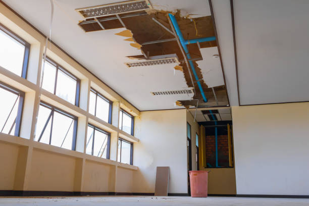 Best Basement water damage restoration  in Mackinaw, IL