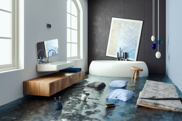 Best Carpet water damage restoration  in Mackinaw, IL