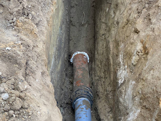 Best Professional water damage repair  in Mackinaw, IL