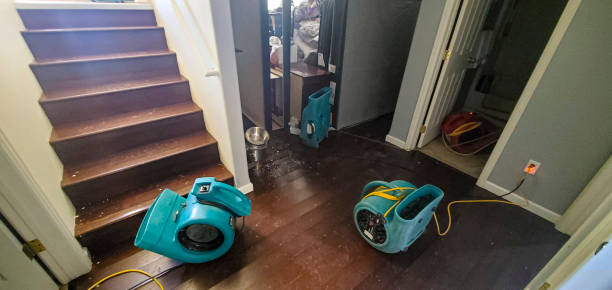 Best Emergency water damage restoration  in Mackinaw, IL
