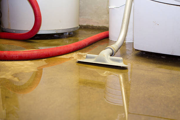 Best Water damage restoration near me  in Mackinaw, IL