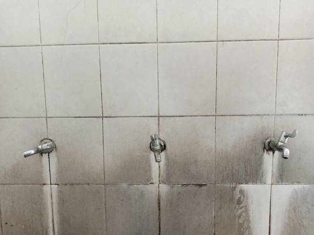 Best Local water damage restoration  in Mackinaw, IL