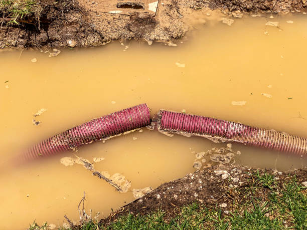 Best Carpet water damage restoration  in Mackinaw, IL