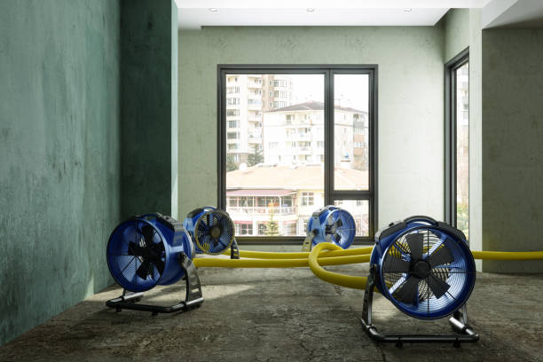 Best Water damage restoration near me  in Mackinaw, IL